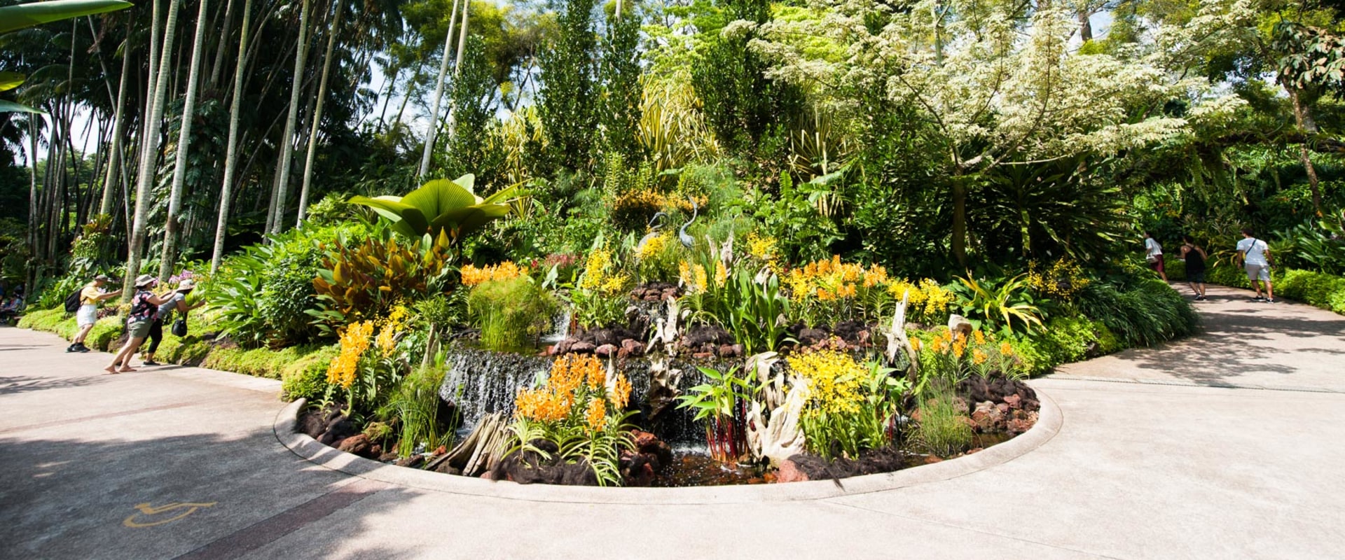 Can you buy plants at botanical garden?