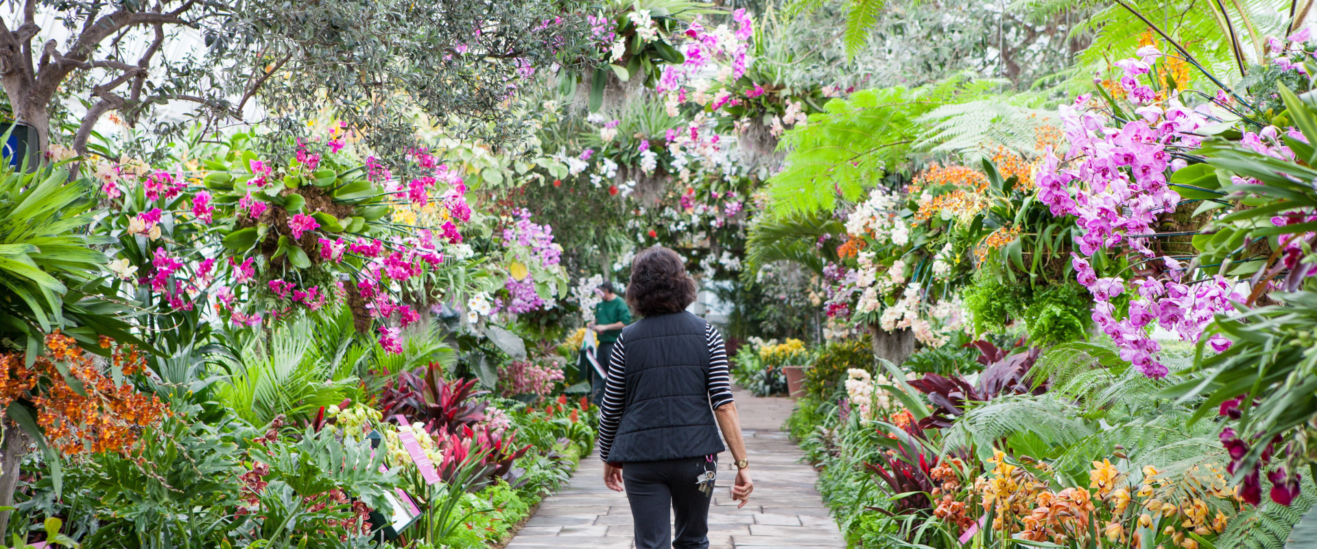 Who owns botanical gardens?