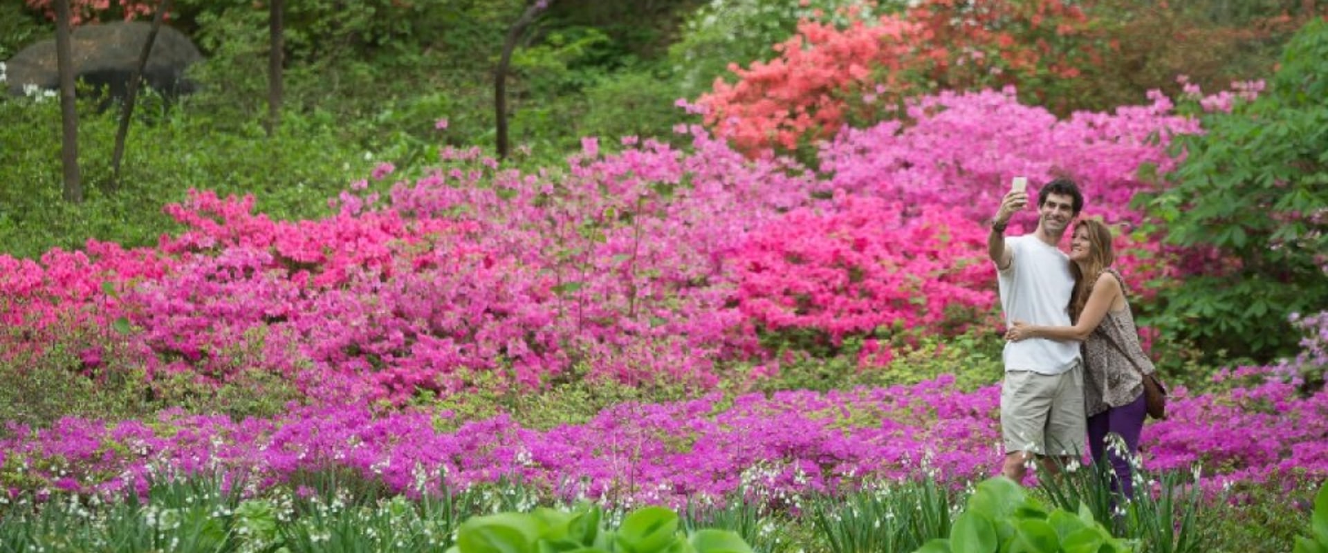 How much does it cost to get into botanical gardens?