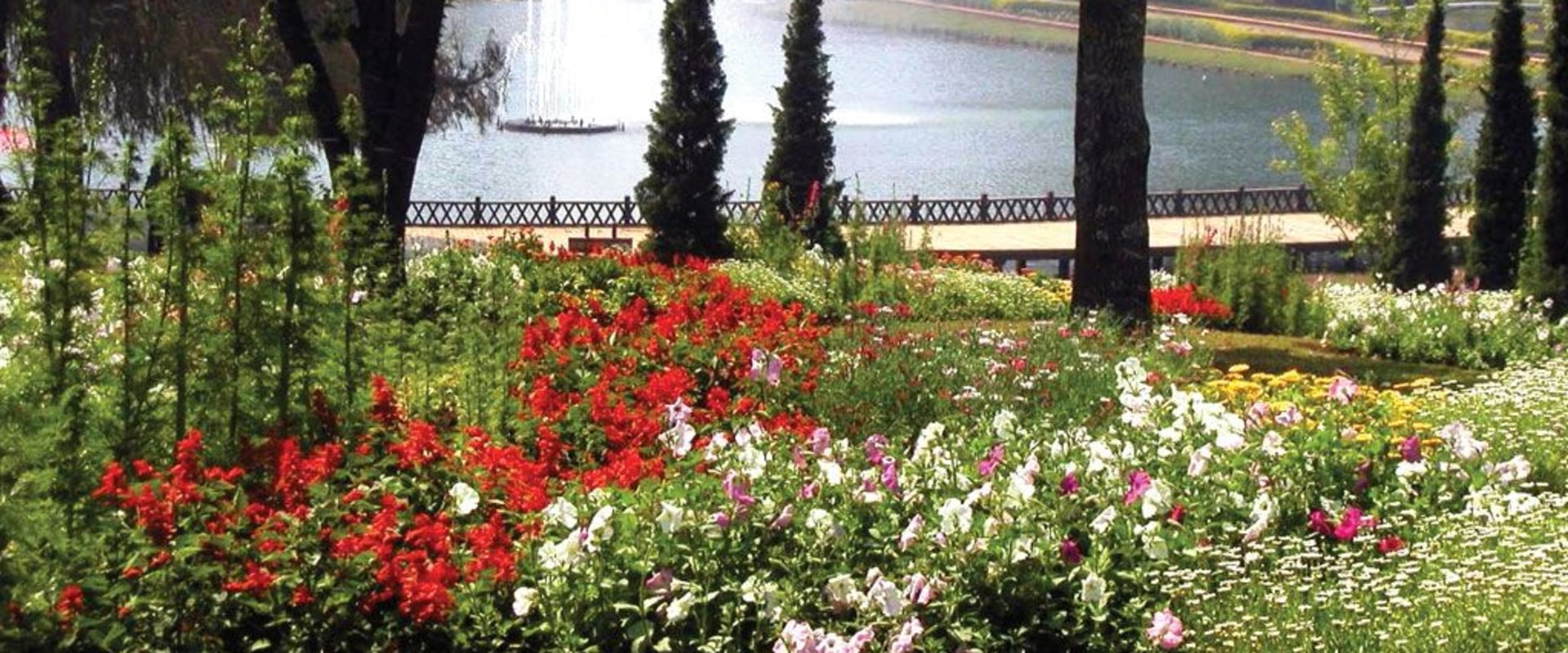 What is the meaning of botanic gardens?