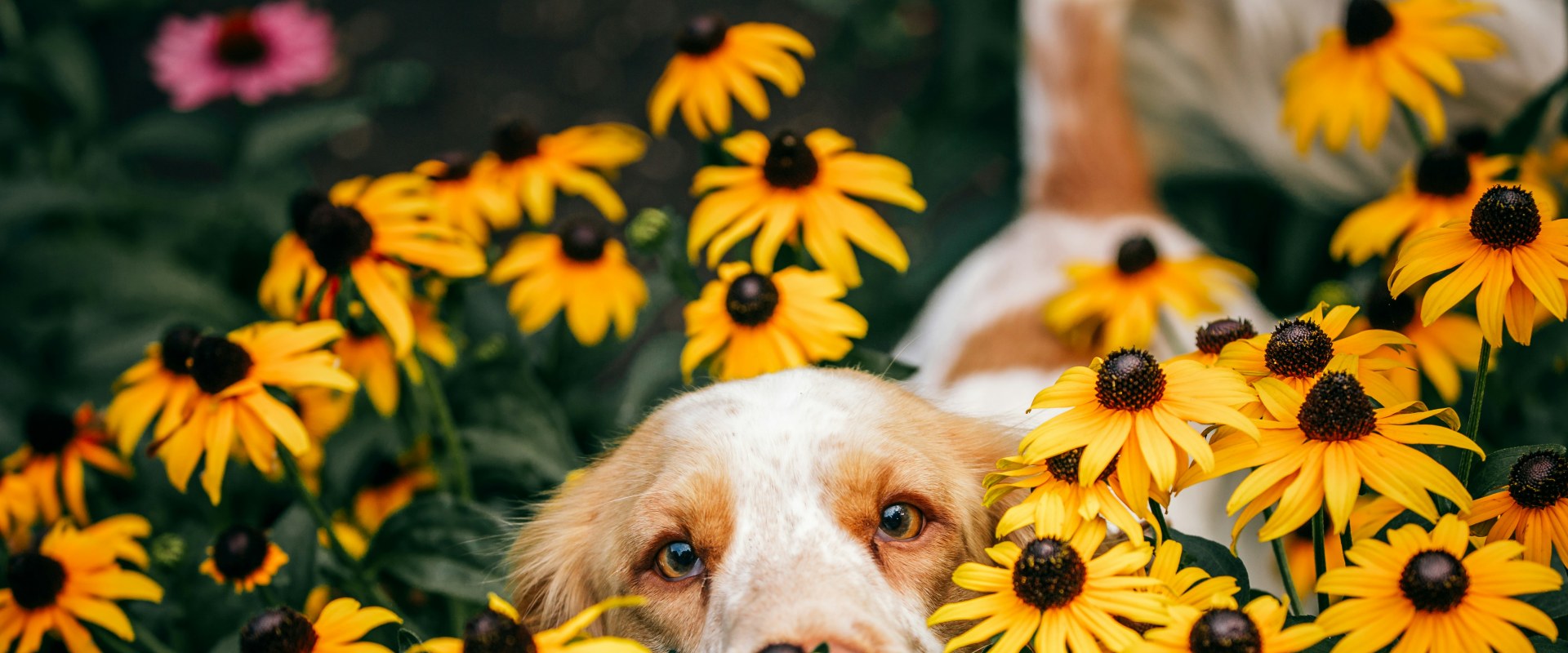 Gallery image with a fresh perspective