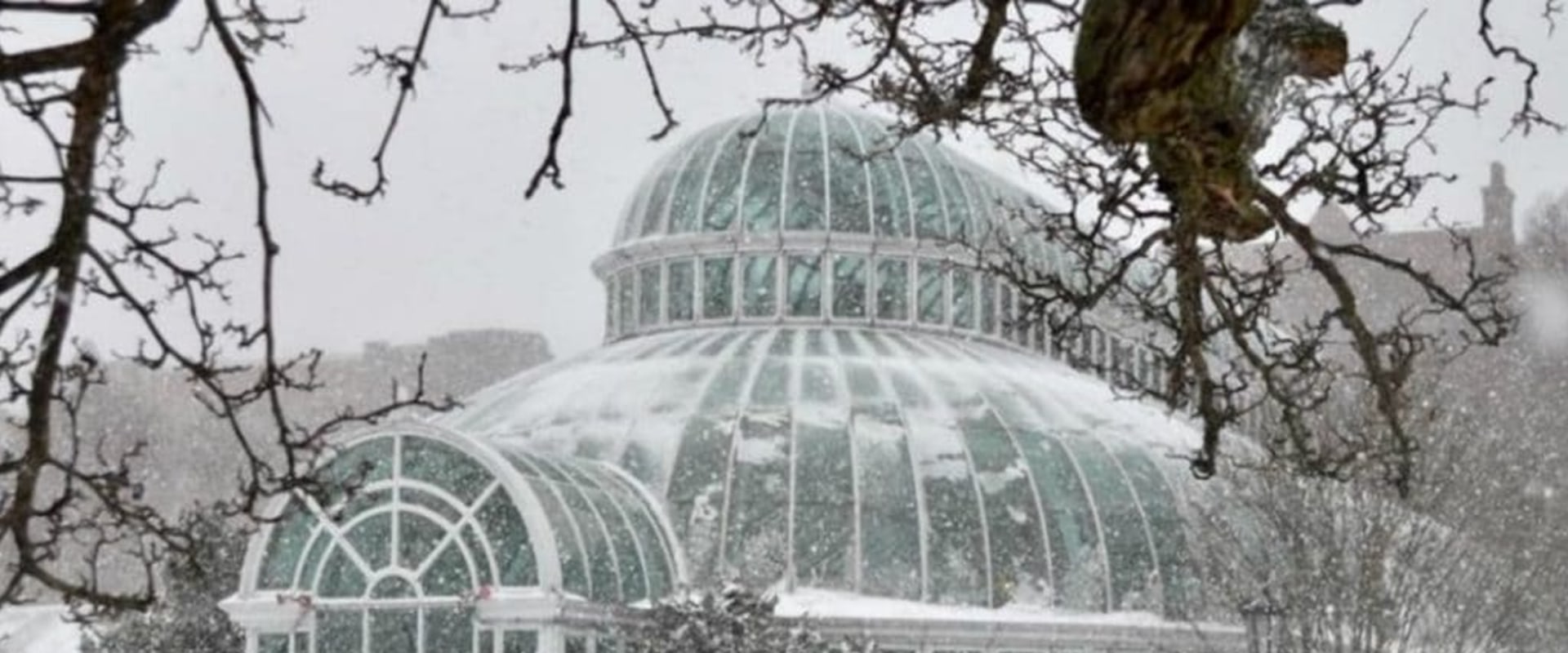 Are botanical gardens open in winter?