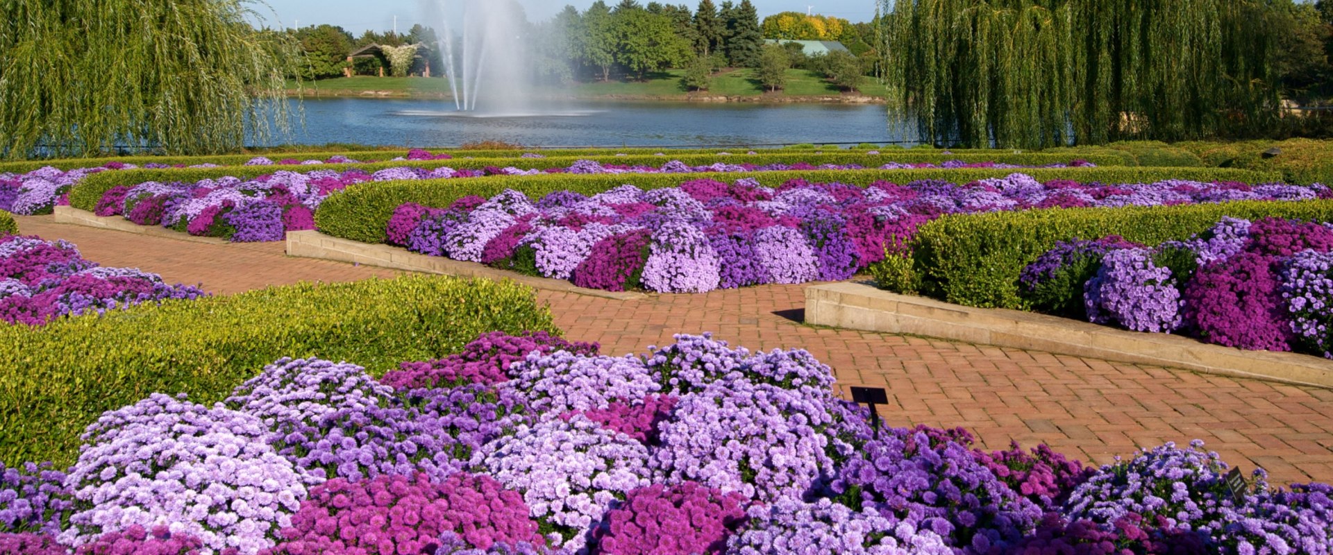 What is special about botanical garden?