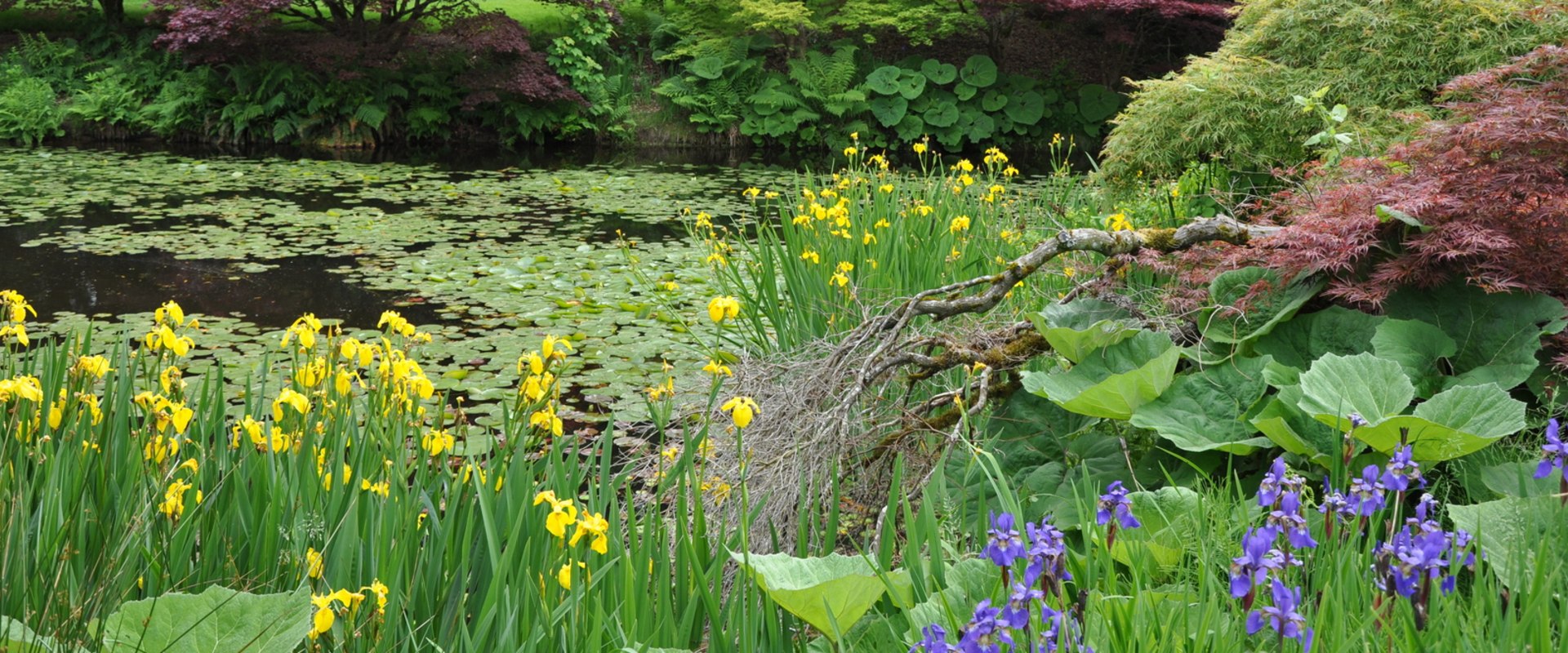 How To Make The Most Of Your Botanical Garden Getaway With A Ten-minute Dove Recipe
