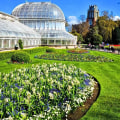 Nature’s Living Museums: Discover the Beauty and Purpose of Botanical Gardens