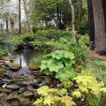 The Role of Botanical Gardens in Conservation and Education
