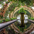 A Walk Through Nature’s Masterpiece: The Allure of Botanical Gardens