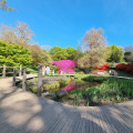 Bloom and Wander: Discover the Magic of Botanical Gardens