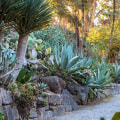 What kind of plants are in a botanical garden?