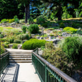 Step Into Serenity: Exploring the Beauty and Benefits of Botanical Gardens