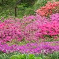 How much does it cost to get into botanical gardens?