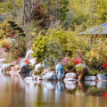 What are the benefits of botanic gardens?