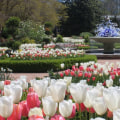 What activities are done in botanical gardens?