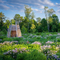 Moving Near Nature: How Botanical Gardens Enhance Your New Lifestyle