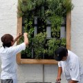 How Botanical Gardens Support Public Interest in Herbs Commonly Used by Restaurants