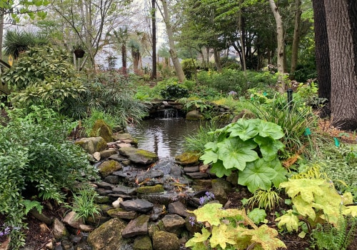 The Role of Botanical Gardens in Conservation and Education