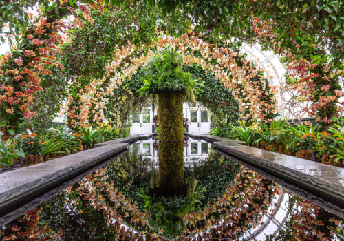 A Walk Through Nature’s Masterpiece: The Allure of Botanical Gardens
