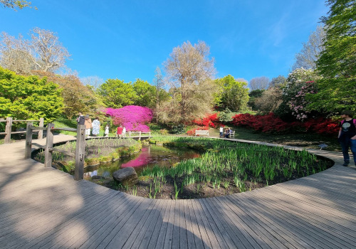Bloom and Wander: Discover the Magic of Botanical Gardens