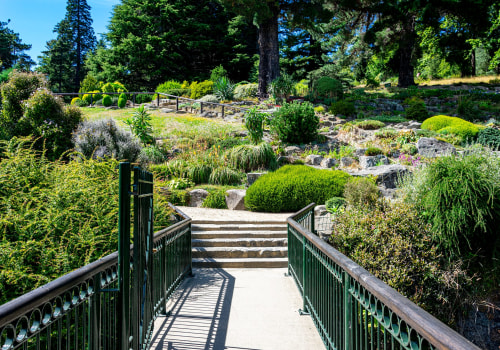 Step Into Serenity: Exploring the Beauty and Benefits of Botanical Gardens