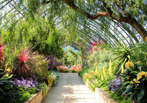 The Top Reasons to Visit Botanical Gardens With Family and Friends