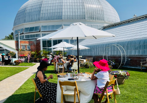 Planning Outdoor Celebrations in Botanical Gardens