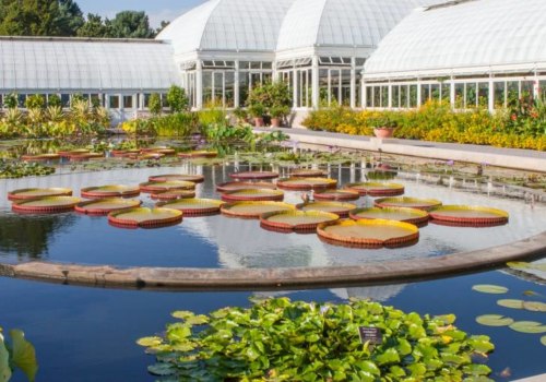 Do you have to pay into the botanic gardens?