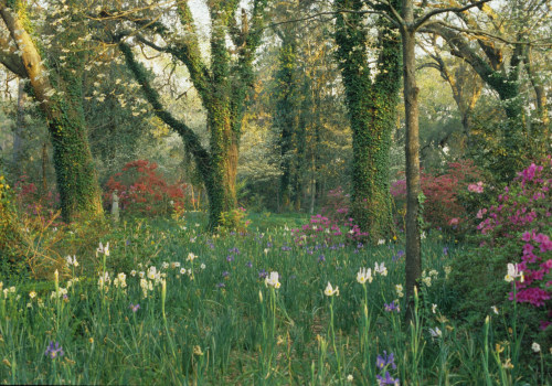 The Role of Botanical Gardens in Conservation and Research