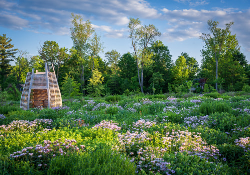 Moving Near Nature: How Botanical Gardens Enhance Your New Lifestyle